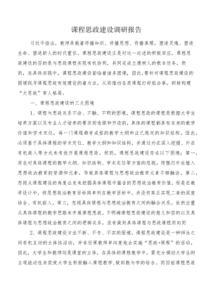 课程思政建设调研报告.docx