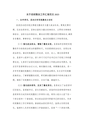 关于巡视整改工作汇报范文2023.docx