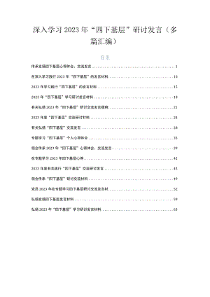 深入学习2023年“四下基层”研讨发言（多篇汇编）.docx