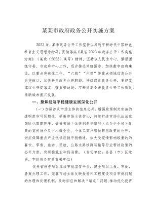 某某市政府政务公开实施方案.docx