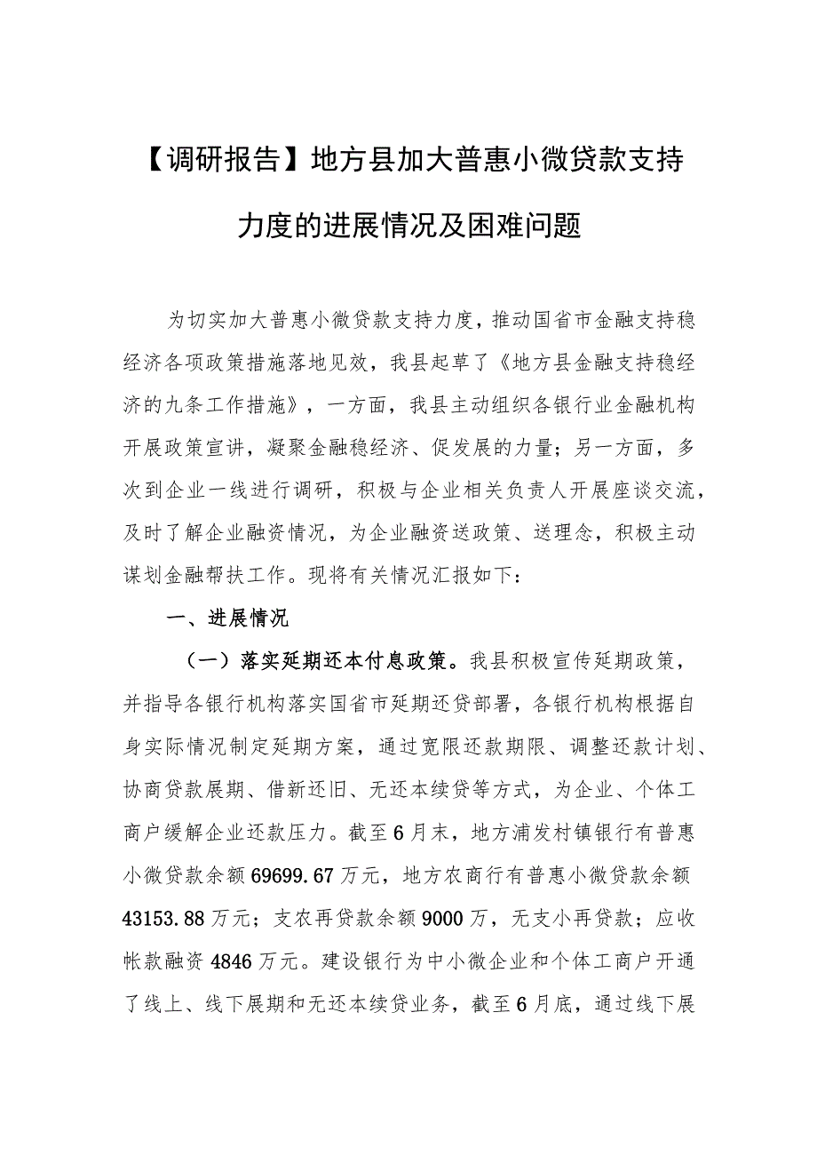 【调研报告】地方县加大普惠小微贷款支持力度的进展情况及困难问题.docx_第1页