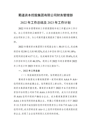 公司财务管理部2022年工作总结及2023年工作计划.docx