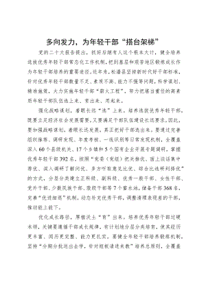 县委常委、组织部部长研讨材料：多向发力为年轻干部“搭台架梯”.docx