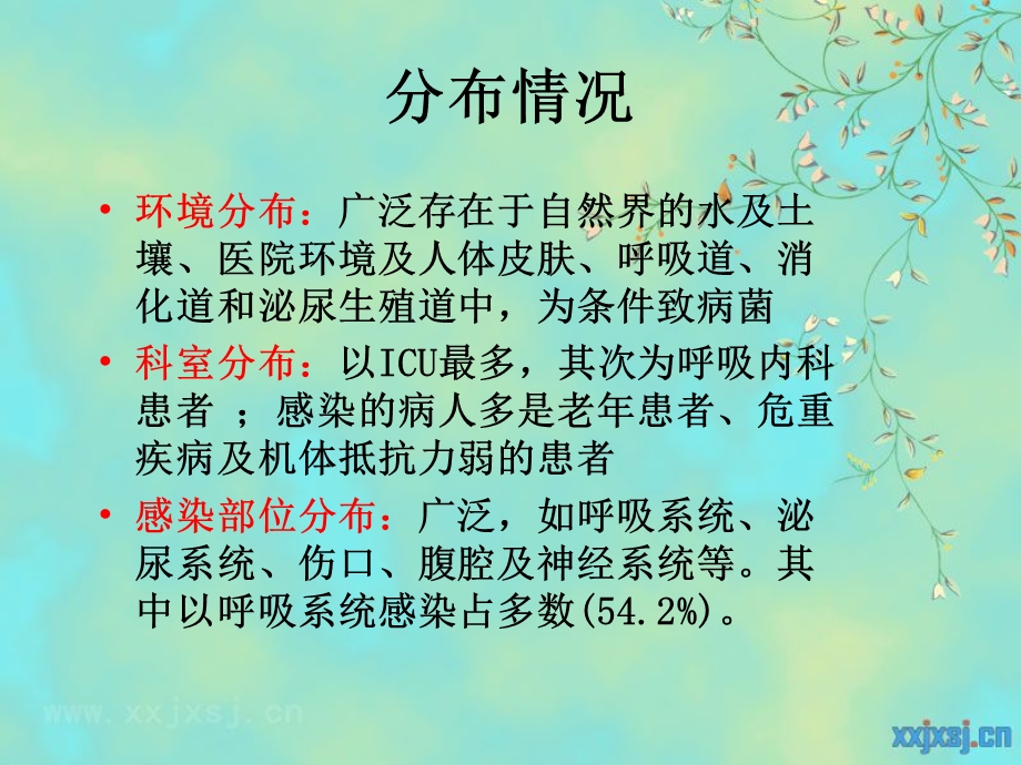 鲍曼不动杆菌.ppt.ppt_第3页