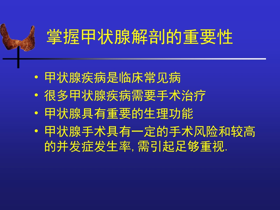 外科学甲状腺解剖概要及临床意义.ppt_第2页