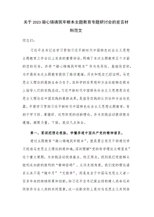 关于2023凝心铸魂筑牢根本主题教育专题研讨会的发言材料范文.docx