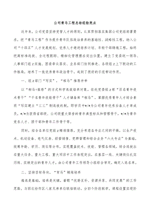 公司青马工程总结经验亮点.docx