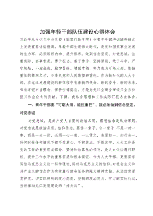 加强年轻干部队伍建设心得体会.docx