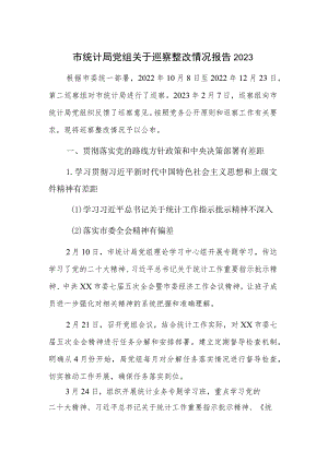 市统计局党组关于巡察整改情况报告2023.docx