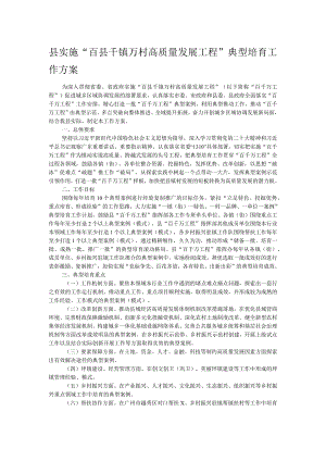 县实施“百县千镇万村高质量发展工程”典型培育工作方案 .docx