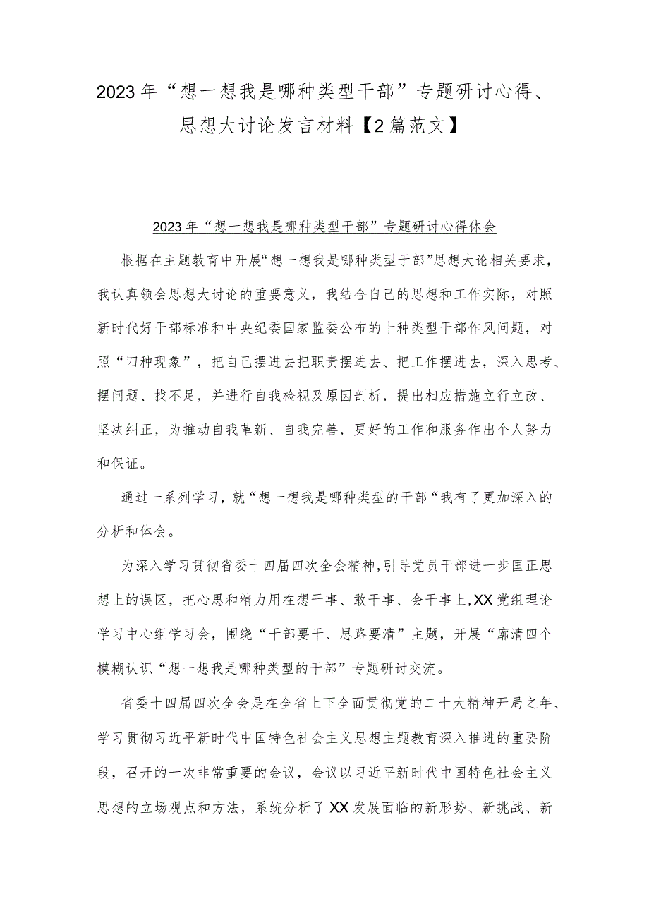 2023年“想一想我是哪种类型干部”专题研讨心得、思想大讨论发言材料【2篇范文】.docx_第1页