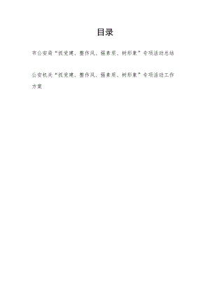 2023某市公安局“抓党建、整作风、强素质、树形象”专项活动工作总结和方案.docx