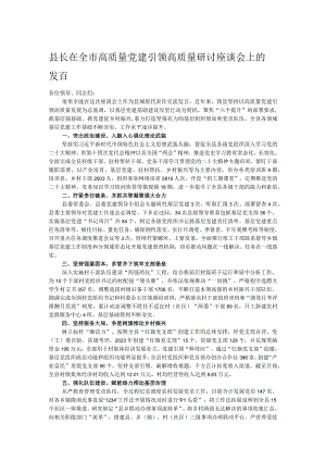 县长在全市高质量党建引领高质量研讨座谈会上的发言 .docx