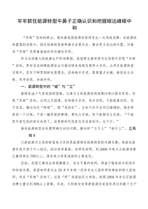 牢牢抓住能源转型牛鼻子正确认识和把握碳达峰碳中和.docx