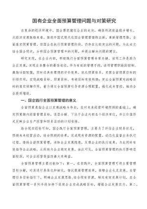 国有企业全面预算管理问题与对策研究.docx