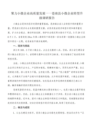 聚力小微企业高质量发展——苍南县小微企业转型升级调研报告.docx