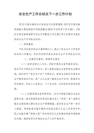 安全生产工作总结及下一步工作计划 .docx