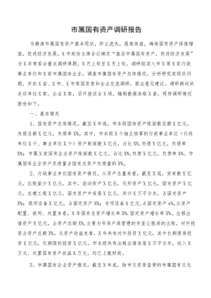 市属国有资产调研报告.docx