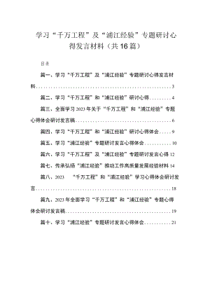 学习“千万工程”及“浦江经验”专题研讨心得发言材料最新版16篇合辑.docx