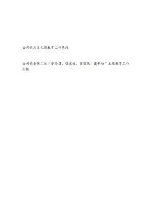 公司党委党总支第二批“学思想、强党性、重实践、建新功”工作总结汇报2篇.docx