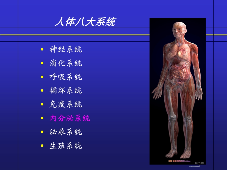 糖皮质激素的临床应用(各论).ppt_第2页