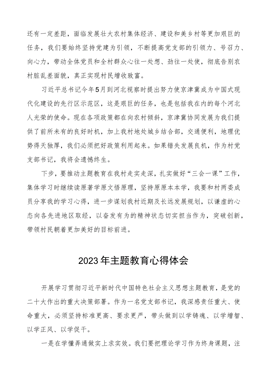 村支部书记关于2023年第二批主题教育心得体会十二篇.docx_第2页