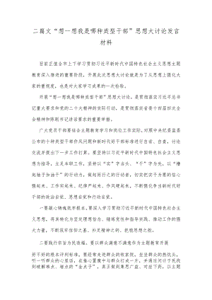 二篇文“想一想我是哪种类型干部”思想大讨论发言材料.docx