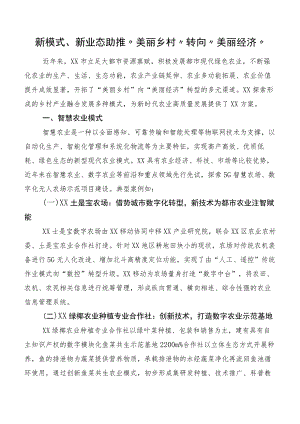 新模式、新业态 助推“美丽乡村”转向“美丽经济”.docx