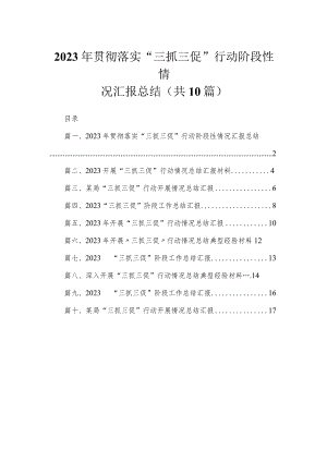 （10篇）2023年贯彻落实“三抓三促”行动阶段性情况汇报总结范文.docx