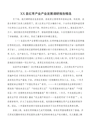 XX县红枣产业产业发展调研报告精选.docx