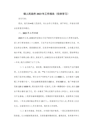 镇人民政府2023年工作报告 .docx