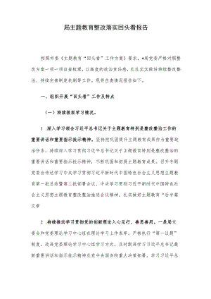 局主题教育整改落实回头看报告.docx