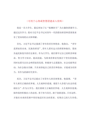 团支部挺膺担当心得体会_4篇合集.docx