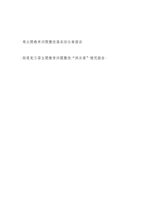 2023-2024年度某局和街道党工委第二批主题教育问题整改落实回头看报告.docx