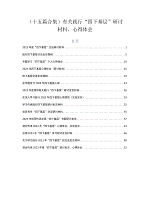 （十五篇合集）有关践行“四下基层”研讨材料、心得体会.docx