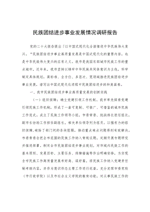 民族团结进步事业发展情况调研报告.docx