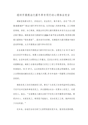 组织开展根治欠薪冬季专项行动心得体会发言.docx