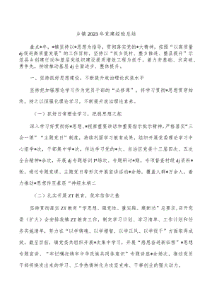 乡镇2023年党建经验总结.docx