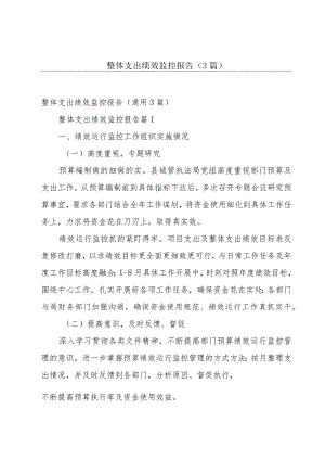 整体支出绩效监控报告（3篇）.docx