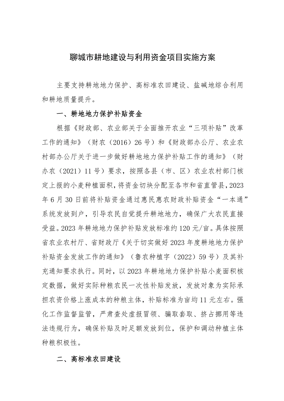 聊城市耕地建设与利用资金项目实施方案.docx_第1页