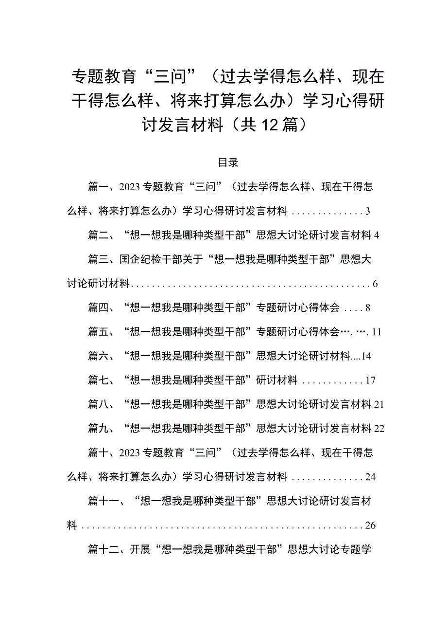 专题教育“三问”（过去学得怎么样、现在干得怎么样、将来打算怎么办）学习心得研讨发言材料（共12篇）.docx_第1页