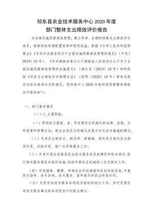 祁东县农业技术服务中心2020年度部门整体支出绩效评价报告.docx