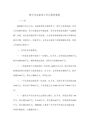 银行司法查询工作汇报供借鉴.docx