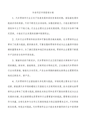 车漆项目市场营销方案.docx