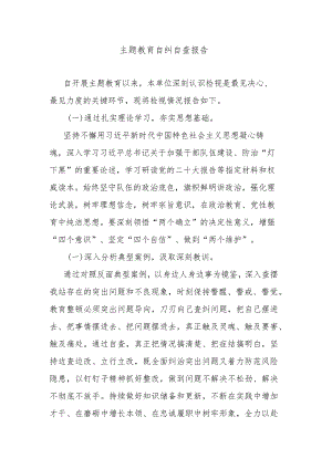 主题教育自纠自查报告.docx