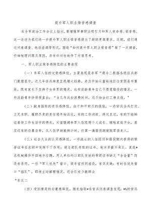 提升军人职业荣誉感调查.docx