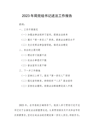 2023年局党组书记述法工作报告.docx