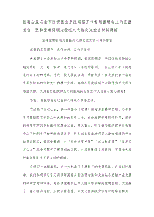 国有企业在全市国资国企系统巡察工作专题推进会上的汇报发言、坚持党建引领 走稳振兴之路交流发言材料两篇.docx