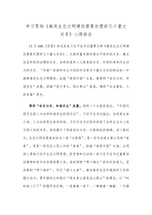 学习贯彻《推进生态文明建设需要处理好几个重大关系》心得体会.docx