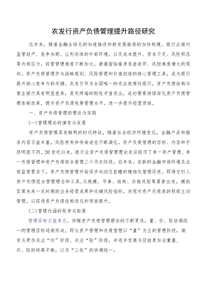 农发行资产负债管理提升路径研究.docx